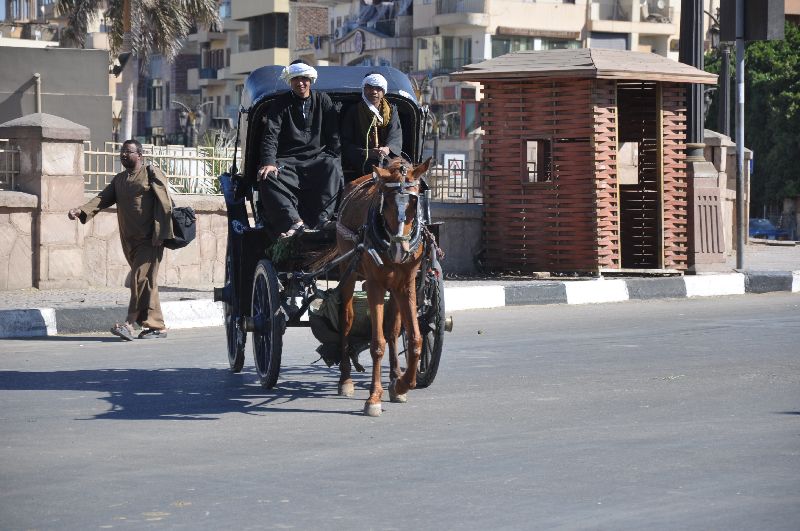 Pferdekutsche in Luxor